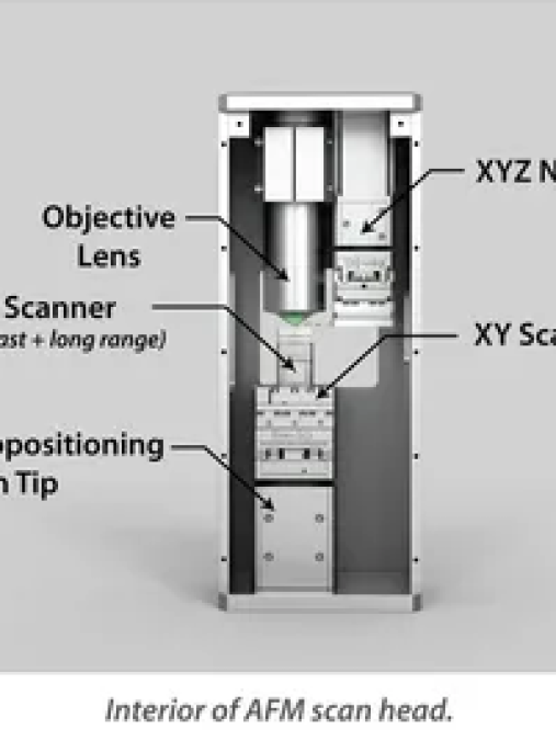 Cryogenic cantilever AFM