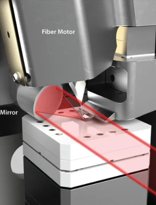 Cryo IR Near-Field microscopy